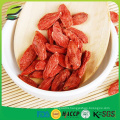 dried goji berry manufacturer with cheap price